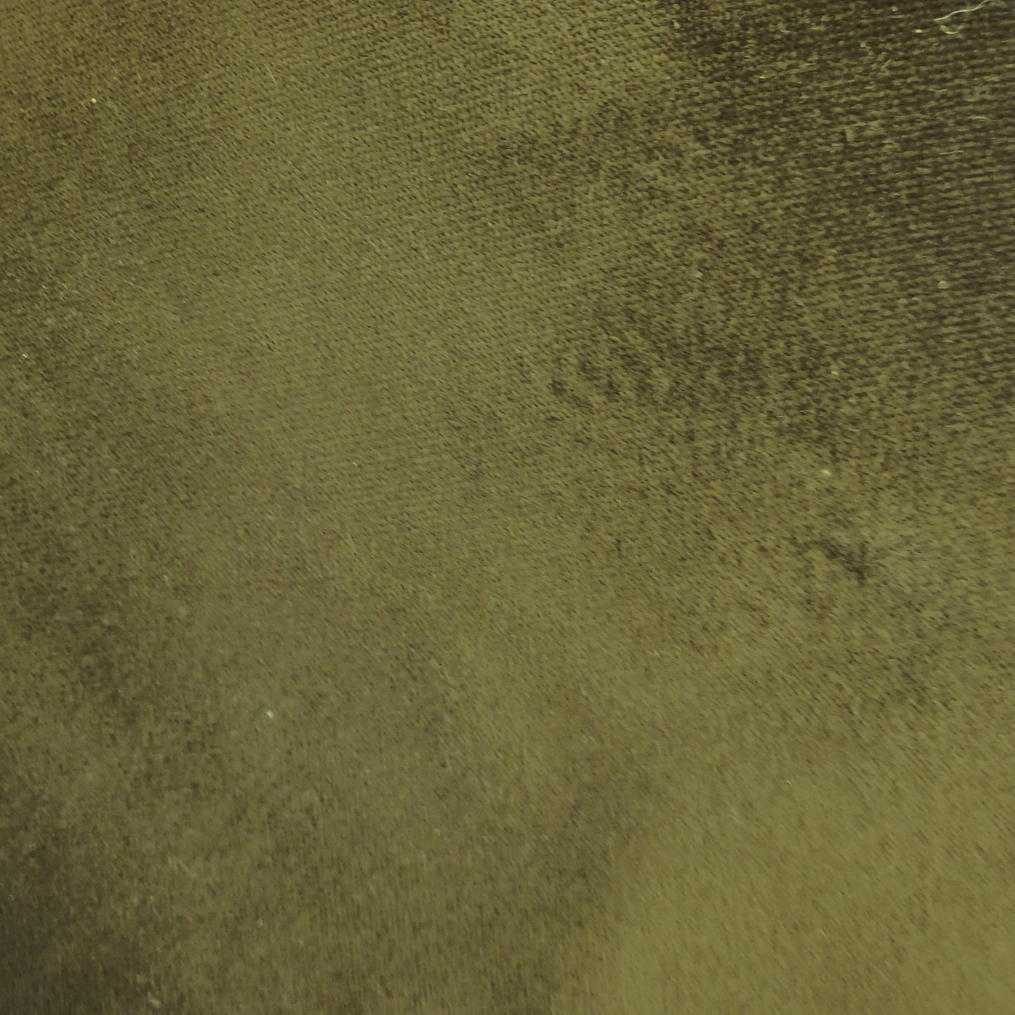 Cotton Velvet Olive Green sold by the yard 58"